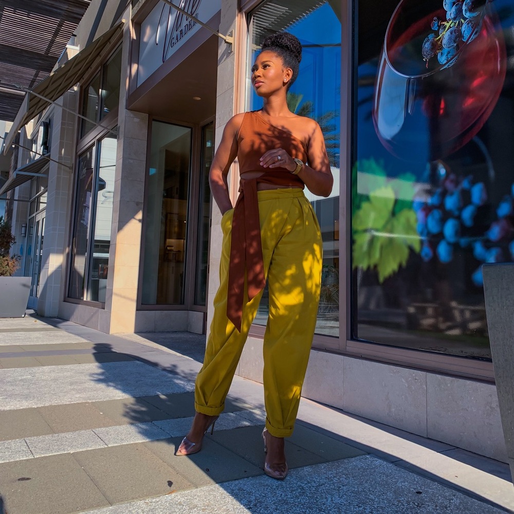 Citronelle Sculpted Pleat Pants